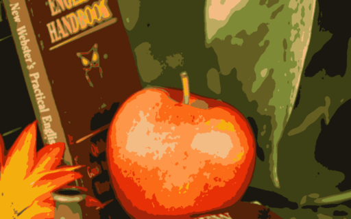 Grafisk fremstilling af bogen New Webster Practical English Handbook