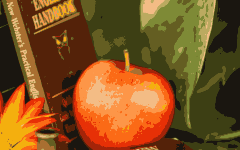 Grafisk fremstilling af bogen New Webster Practical English Handbook